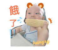 180879237