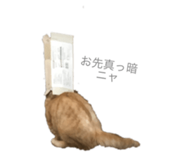 180883976