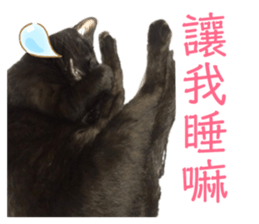 180916153