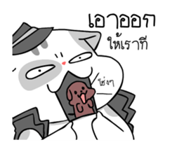 18096926