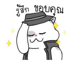 18096931