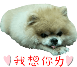 180974603