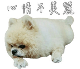 180974604