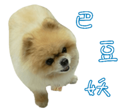 180974606