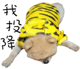 180974609
