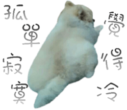 180974611