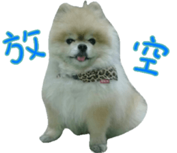 180974619