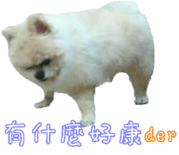 180974621