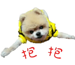 180974623