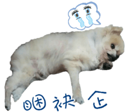 180974624