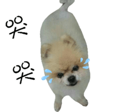 180974625