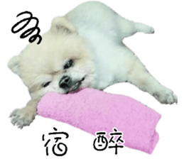 180974630