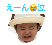 18099597
