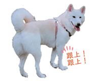 181039750