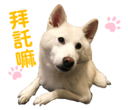 181039755