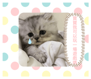 181076229