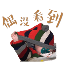 18110733