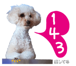 181192807