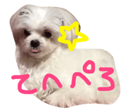 18122136