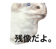 18122137
