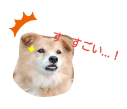 181260712