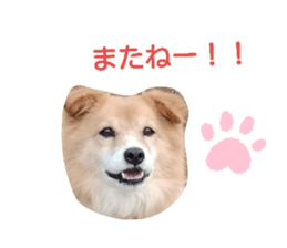 181260714