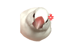 181284512