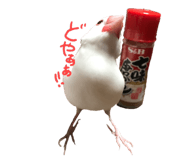 181284514