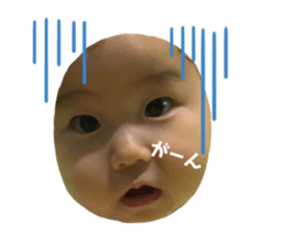 181352806