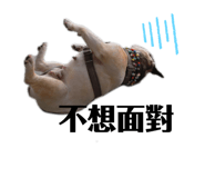 181362625