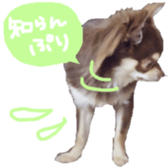 181384852
