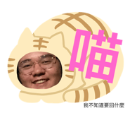 181637269
