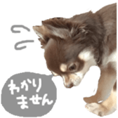 181696909