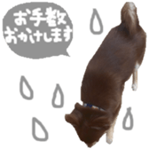 181696915