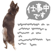 181696919