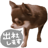 181696921