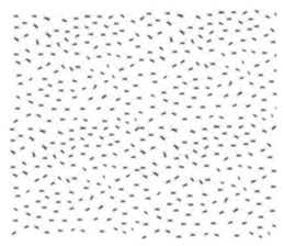 181733225