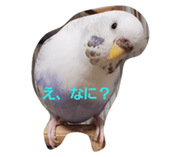 181746775