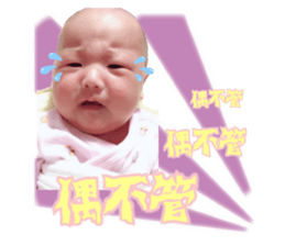 181775576