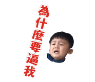 18178681