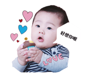 18178701