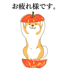 1819062