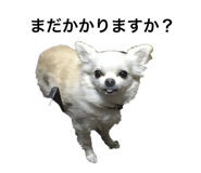 181987171