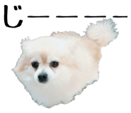 182014144