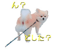 182014149