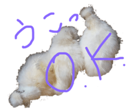 182037904
