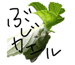 182037917