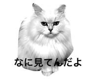 18205390