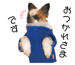 182155538