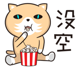 18219928